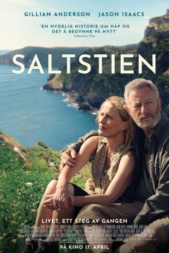 Saltstien