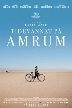 Amrum