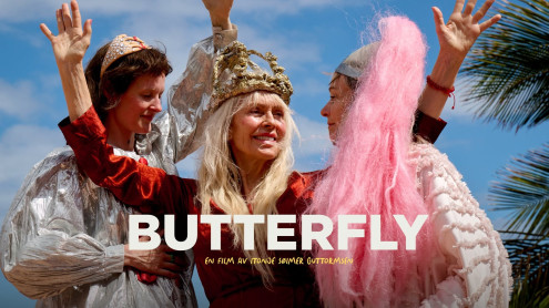 Butterfly